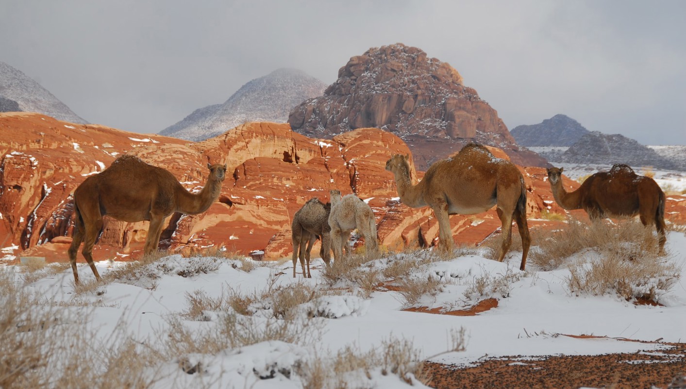 paquete turistico Arabia Saudí Inolvidable Fin Riad