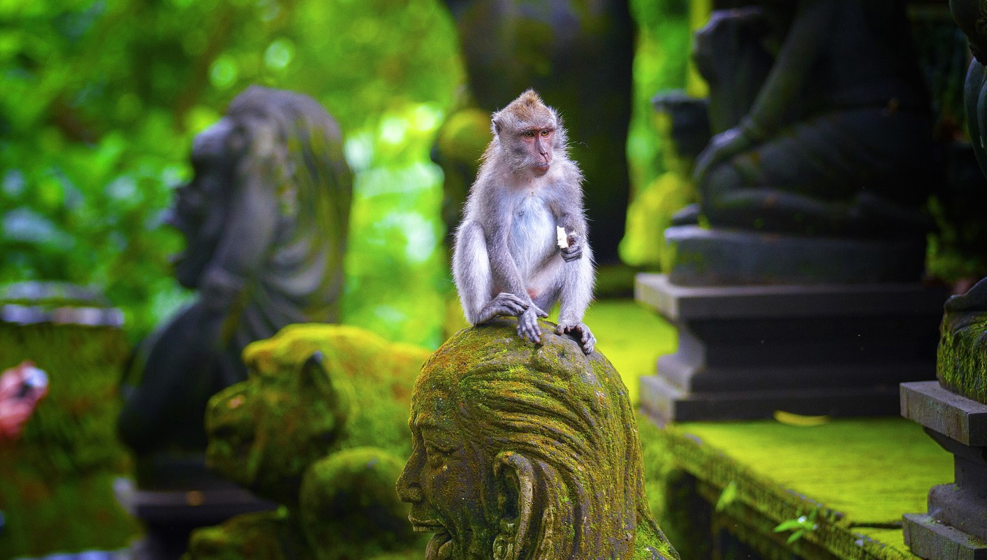 paquete turistico Paraiso Escondido: Ubud, Gili Trawangan y Jimbaran