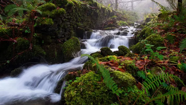 Experiencia Selecta de Lisboa a Bilbao