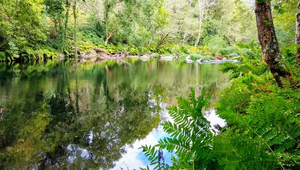 Experiencia Selecta de Lisboa a Bilbao