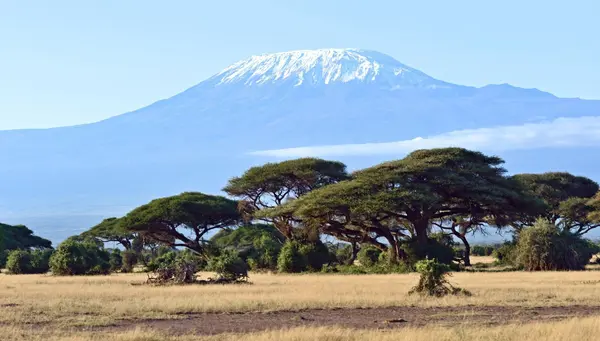 Bellezas de Kenia y Tanzania