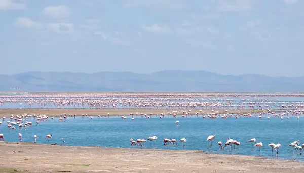 Tanzania y Kenia