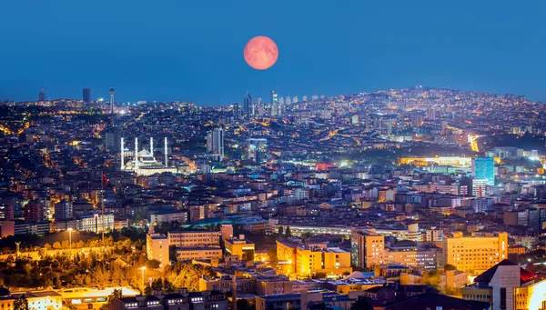 Turquía, Bellezas de Jordania y el Cairo