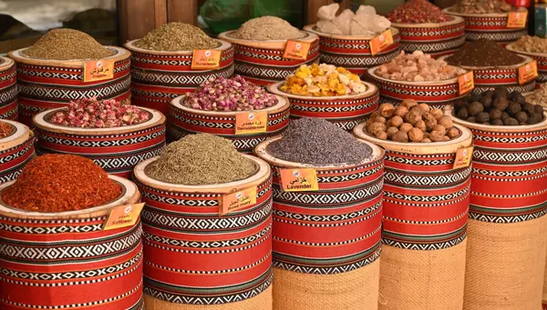 Egipto Eterno, Secretos del Nilo, Hurgada y Alejandría