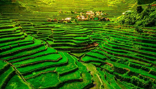 Filipinas Auténtica