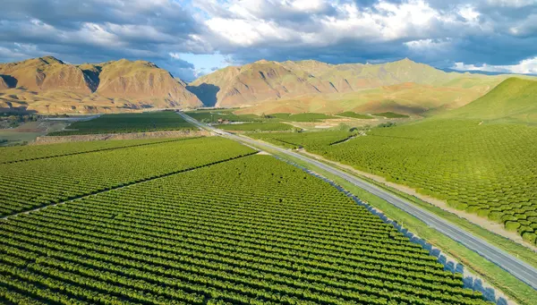 Toronto y Clásicos del Oeste