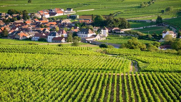 Europamundo Maravillas de Francia