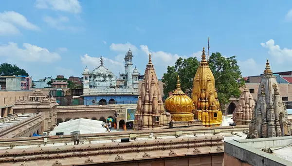 Triángulo Dorado y Varanasi