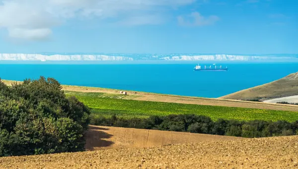 Londres, Brujas y Amsterdam