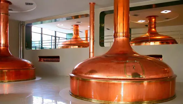 Chequia al completo y Polonia Esencial