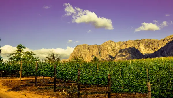 Sudáfrica Fascinante