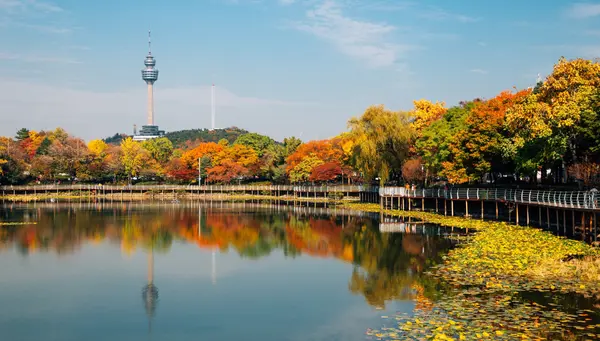 Luces de Corea del Sur