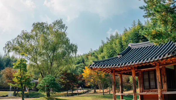 Luces de Japon y Corea