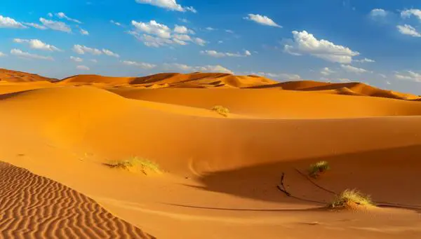Europamundo Marruecos, Desierto del Sahara