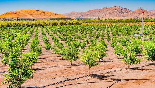 Los Ángeles, Las Vegas con Parques Nacionales