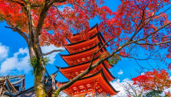 Encantos de Corea y Japón con Hirsohima