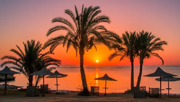 Egipto: Entre Templos y Tumbas