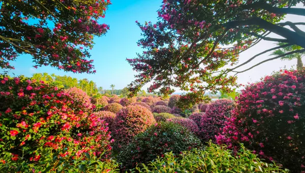 Seúl, Busán e Isla de Jeju