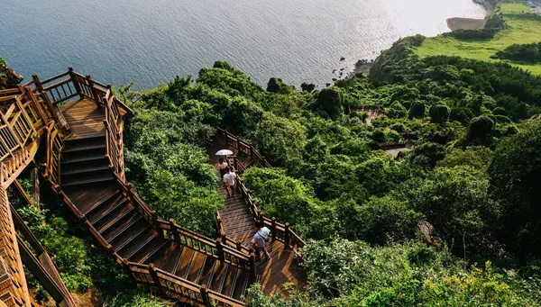 Esencias de Corea e Isla de Jeju