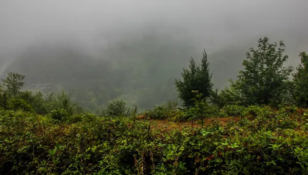Explorando la Espiritualidad en Irán