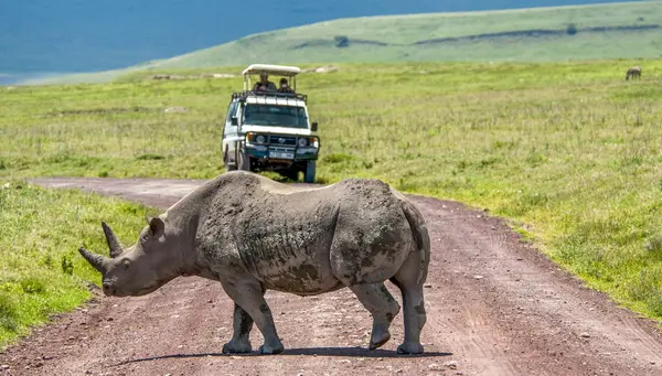 Bellezas de Kenia y Tanzania