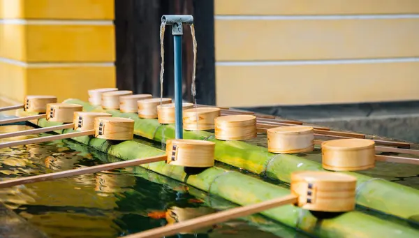 Luces de Japon y Corea