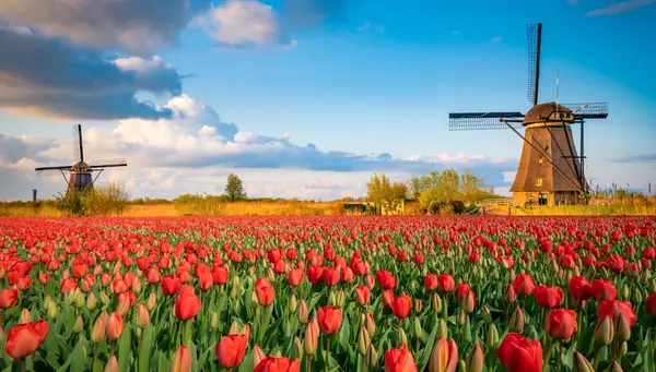 Londres, Brujas y Amsterdam