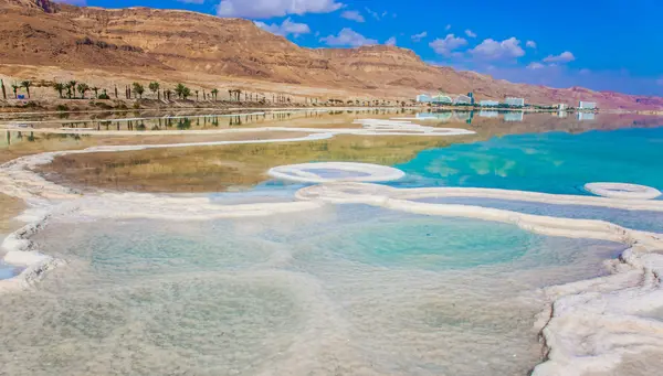 Encantos de Persia y Màgica Jordania