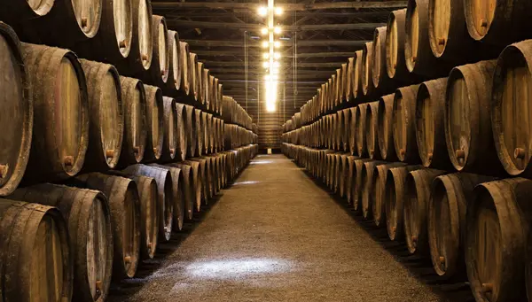 Andalucía Auténtica con Portugal y Norte de España