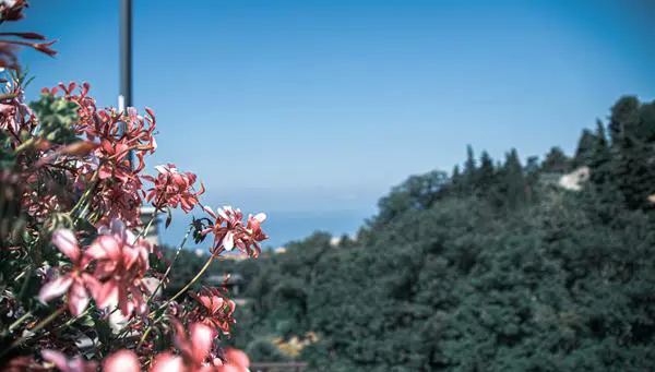 Europamundo Croacia, Italia y Simplemente Sicilia Fin Palermo