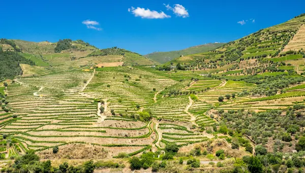 Andalucía y Portugal al completo Madrid