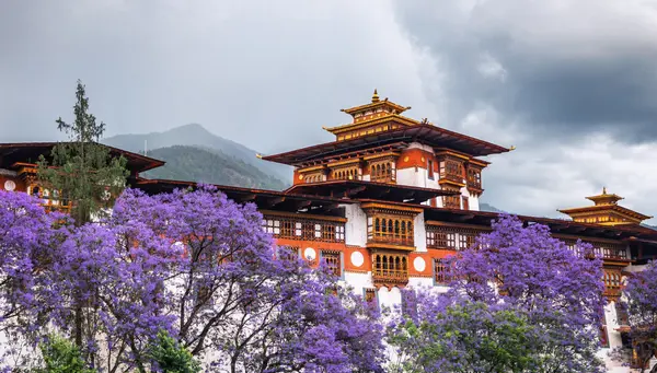 Extensión Nepal y Buthán