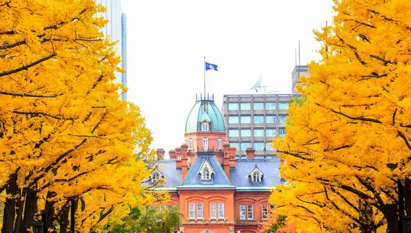 Centro y Norte de Japón Fin Sapporo
