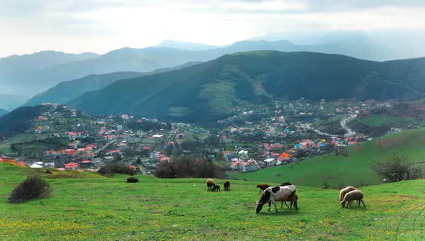 Irán al Completo con Teherán y Rasht