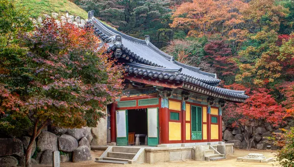 Encantos de Corea y Japón