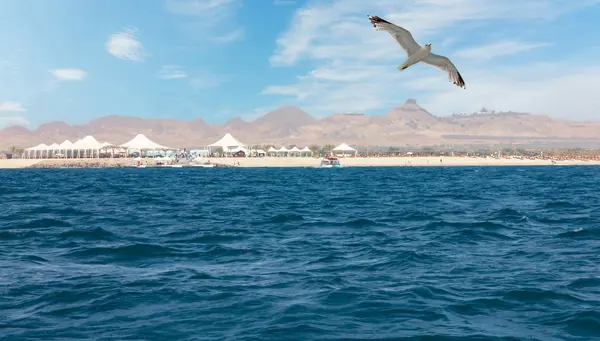 Horizontes de Dubái con crucero