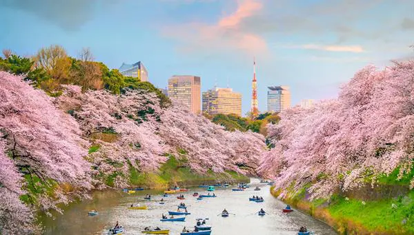 Europamundo Pekin, Shanghai, Tokio con Monte Fuji