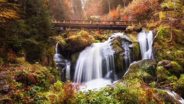 Italia Y Suiza Con Alsacia Y Selva Negra