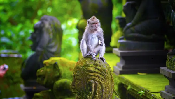 Paraiso Escondido: Ubud, Gili Trawangan y Jimbaran