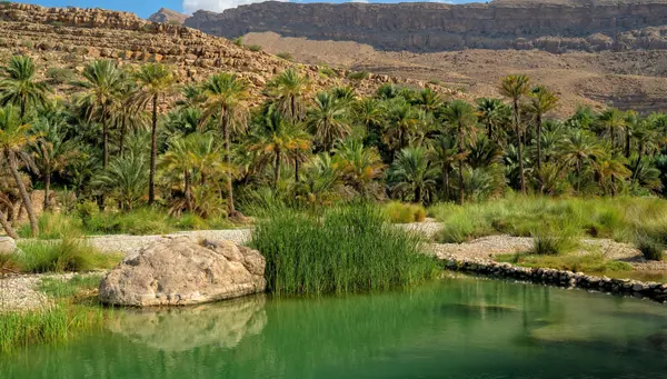 Dubai al completo y descubriendo Omán