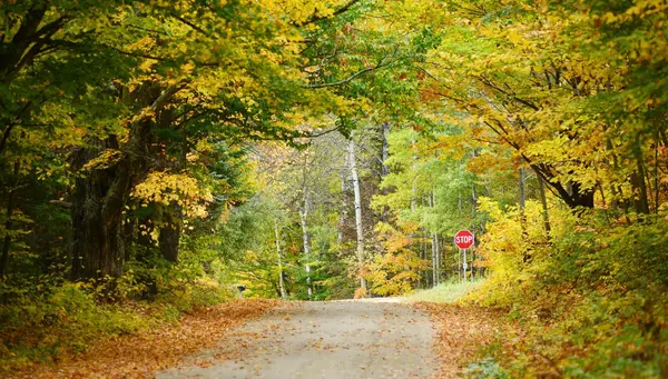 Recorriendo Costa Este fin Toronto