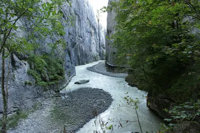 Aareschlucht