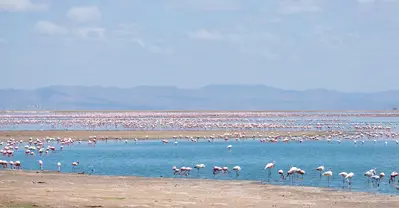 Amboseli