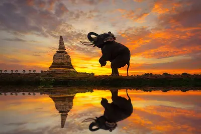 Ayutthaya