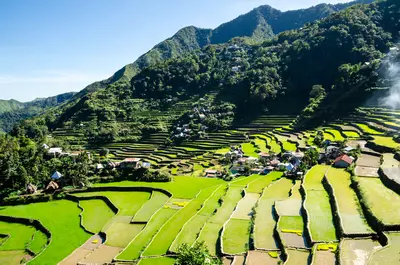 Banaue: Terrazas de arroz de Banue.
