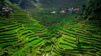 Banaue