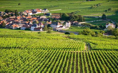 Beaune