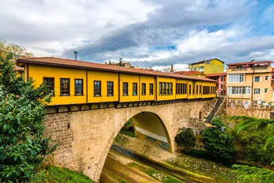 Bursa
