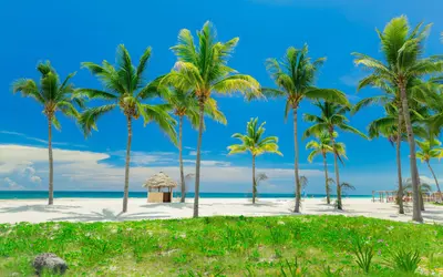 Cayo Coco