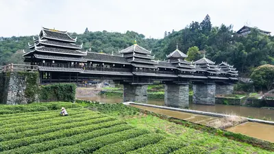 Chengyang: The bridge of the wind.